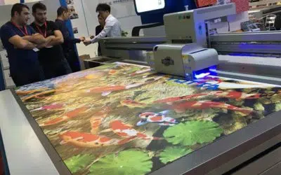 IN UV, DECAL OTO, DECAL PP